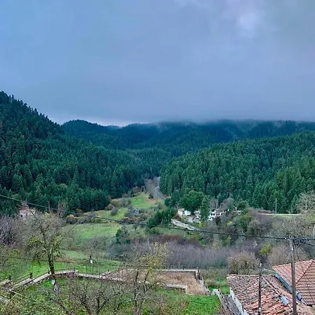 Elati's Traditional And Cosy * Elati (Peloponnese)