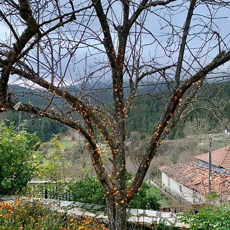 Appartement Elati's Traditional And Cosy *