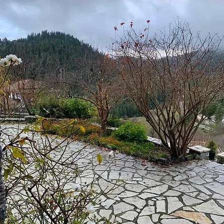 Elati's Traditional And Cosy Appartement *