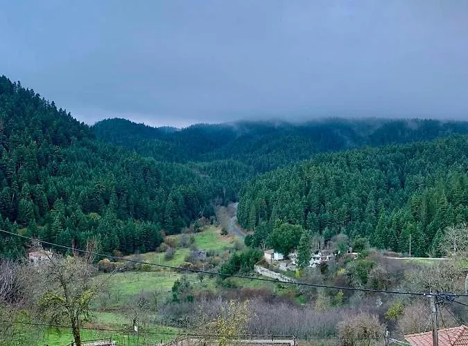 Elati's Traditional And Cosy * Elati (Peloponnese)