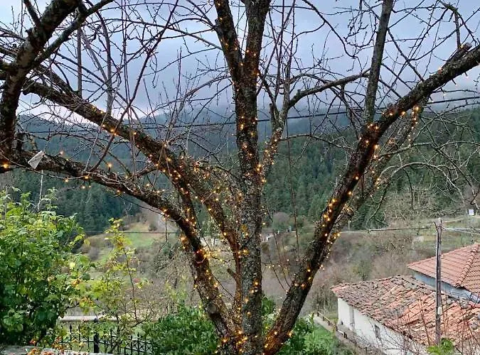 Appartamento Elati's Traditional And Cosy *