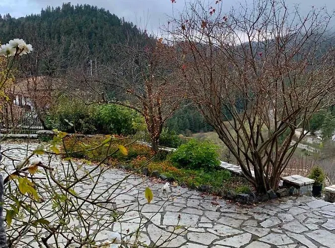 Elati's Traditional And Cosy Appartamento *